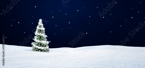Weihnachtsbäumchen in Schneelandschaft bei Nacht