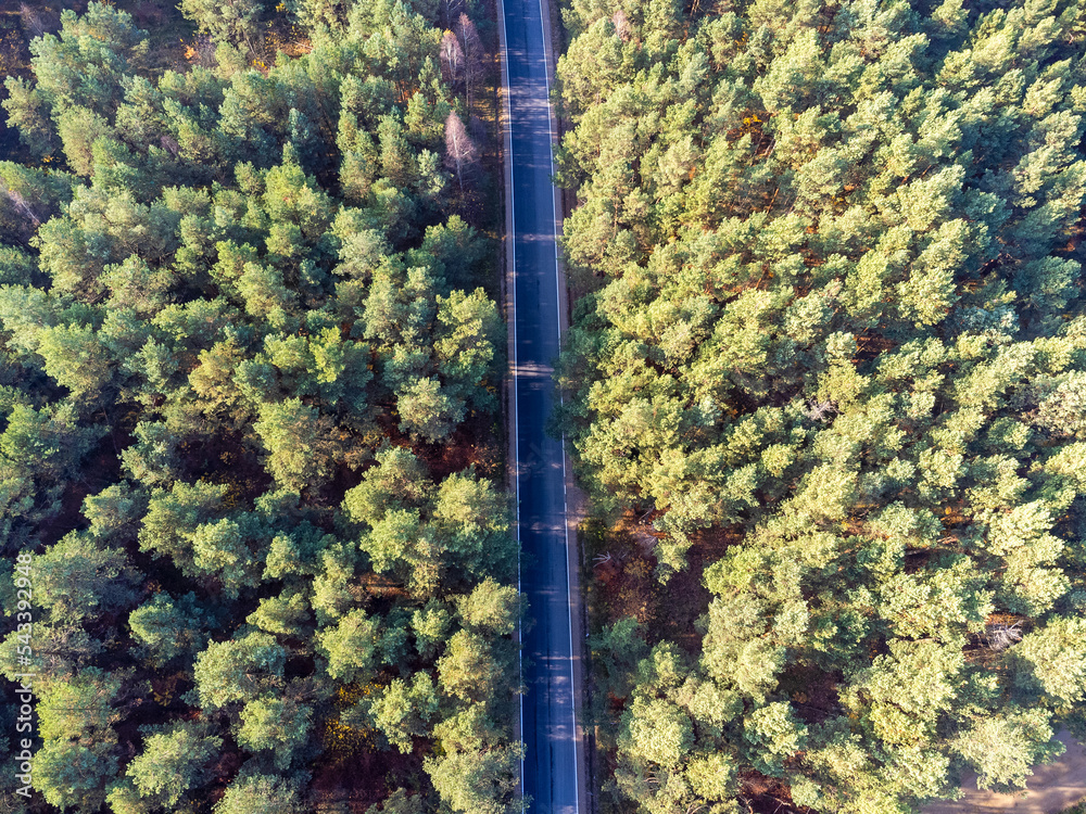The road as seen from above. Street , road, trees, forest, drone photo, bird's eye view photo.