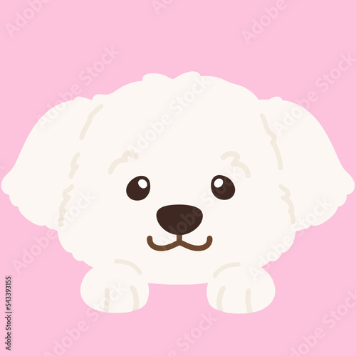 Flat colored simple and adorable white Maltese dog front head with paws