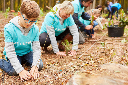 Junge und andere freiwillige Helfer pflanzen Bäume