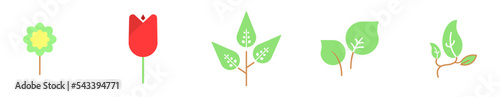 5 Plant Colored Icon Bundle A