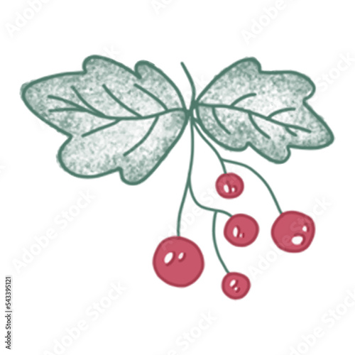 Cute winter nature elements on background