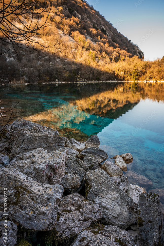 Tagliamento and Cornino lake. Winter nature and flowers