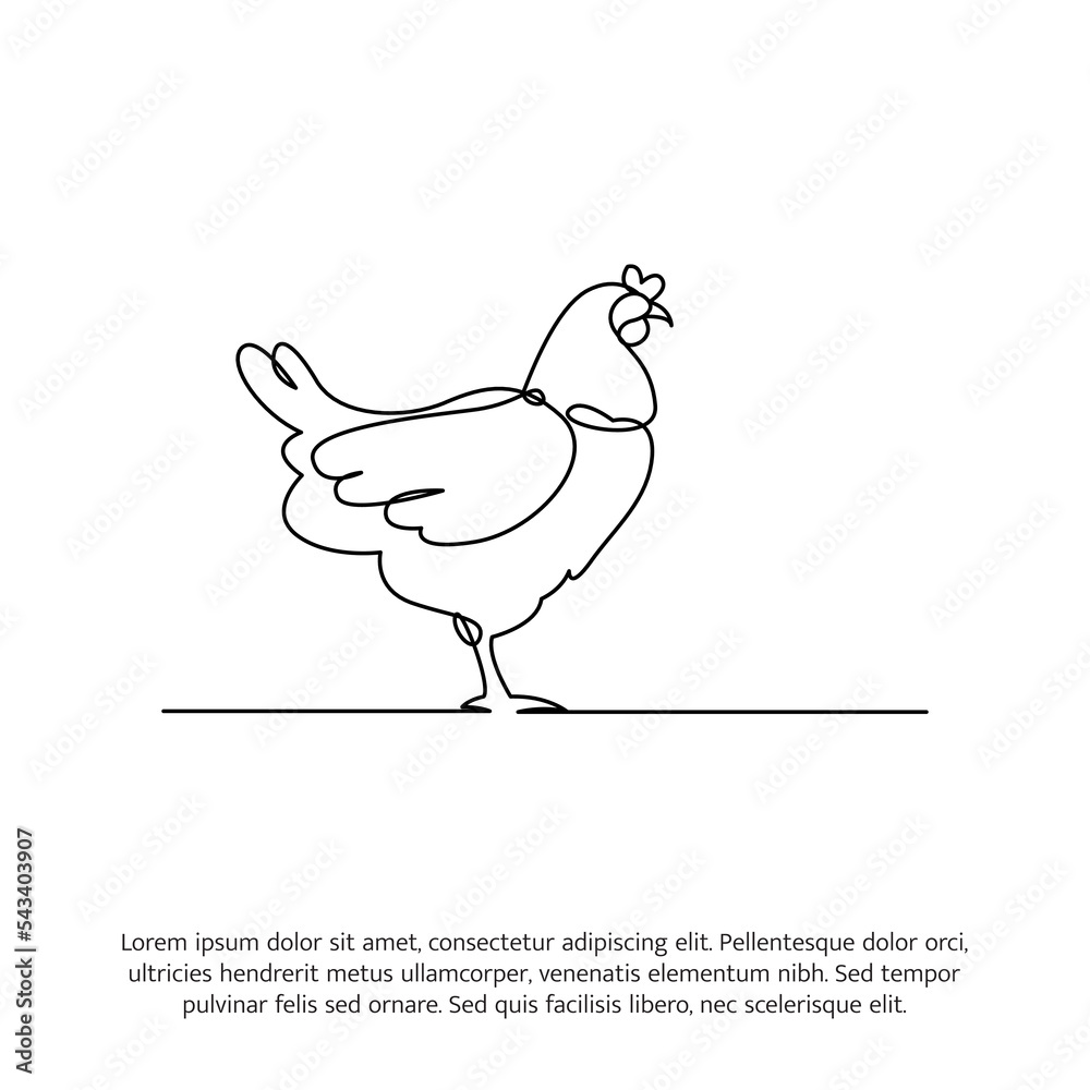 Chicken line design. Decorative elements drawn one continuous line. Vector illustration of minimalist style on white background.