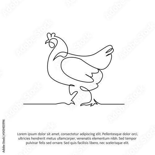 Chicken line design. Decorative elements drawn one continuous line. Vector illustration of minimalist style on white background.