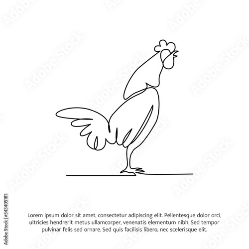 Rooster line design. Hen decorative elements drawn one continuous line. Vector illustration of minimalist style on white background.