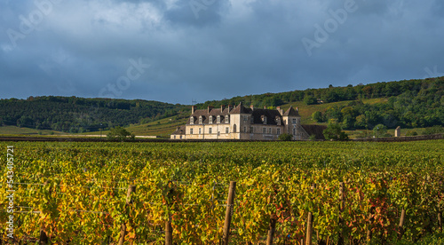 Canvas-taulu Burgundy, France - September, 2020: Landscape view of a typical sunlit vineyard