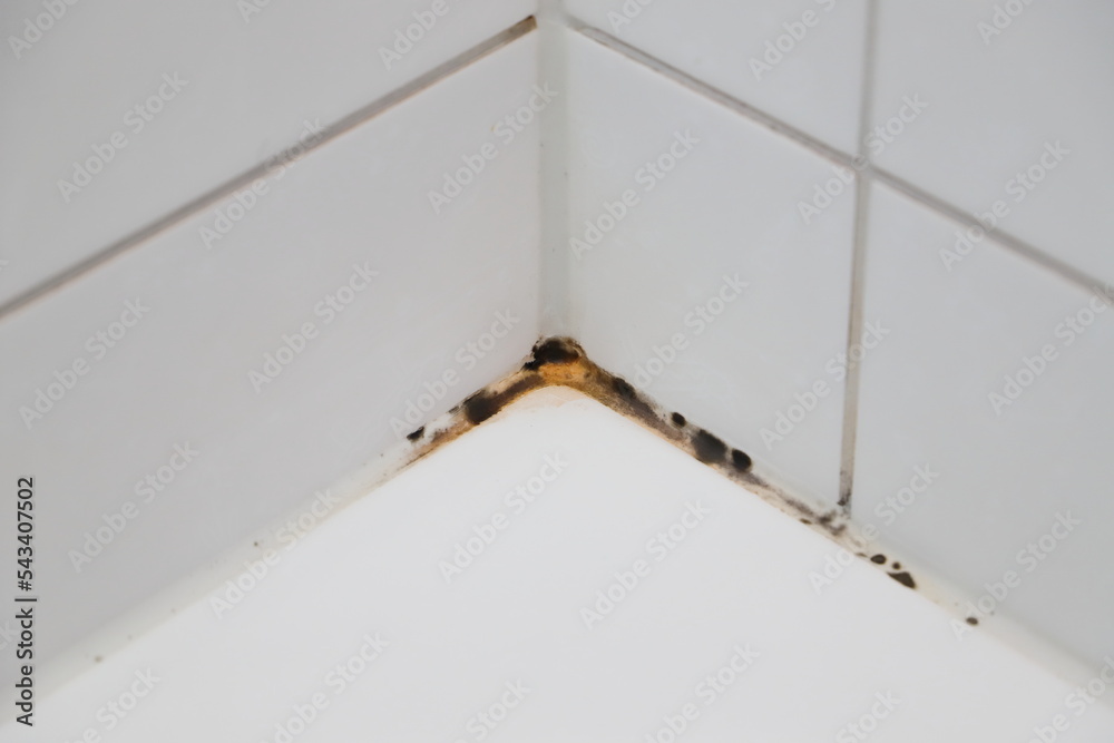 a moldy silicone joint in the bathroom - obrazy, fototapety, plakaty 