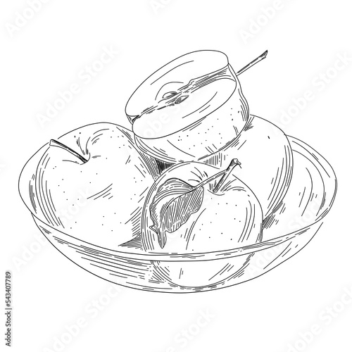 Apple in sketch style. Hand-drawn sketches with apples and leaves in a plate. Vector illustrations with whole and cut fruits. Vintage style engraving.