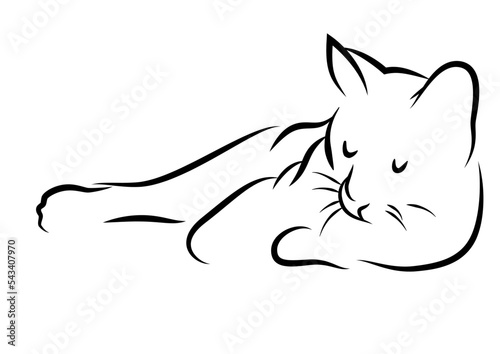 Lying cat on ilustrator in black and white 