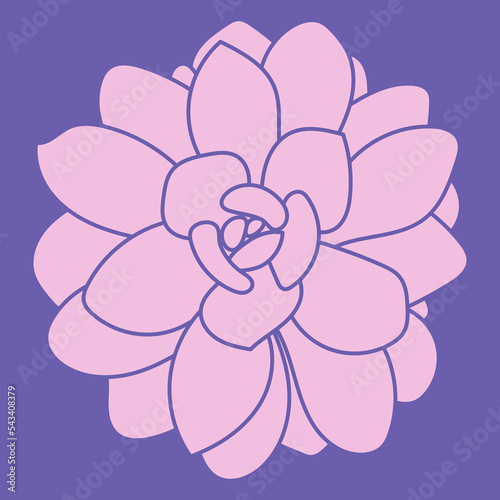 Succulent isolated on very peri background. Element for design, logo. Hand drawn vector illustration, sketch. 
