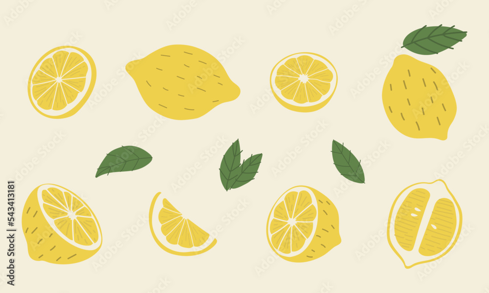 lemon and garden 1 vector illustration