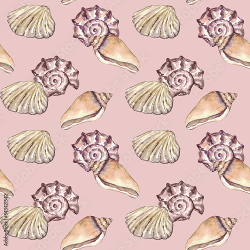 Watercolor sea shell seamless pattern. Hand drawn seashells texture vintage ocean background.