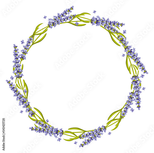 Floral wreath. Round lavender frame. Decorative botany