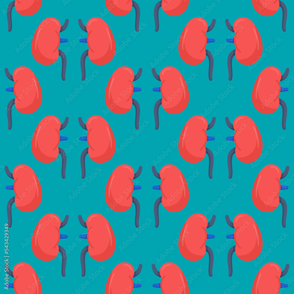 Vector illustration of kidney pattern. Seamless drawing of live kidneys