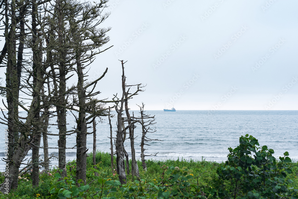 coastline on the Pacific coast, Kuril Islands coastline on the Pacific coast, Kuril Islands