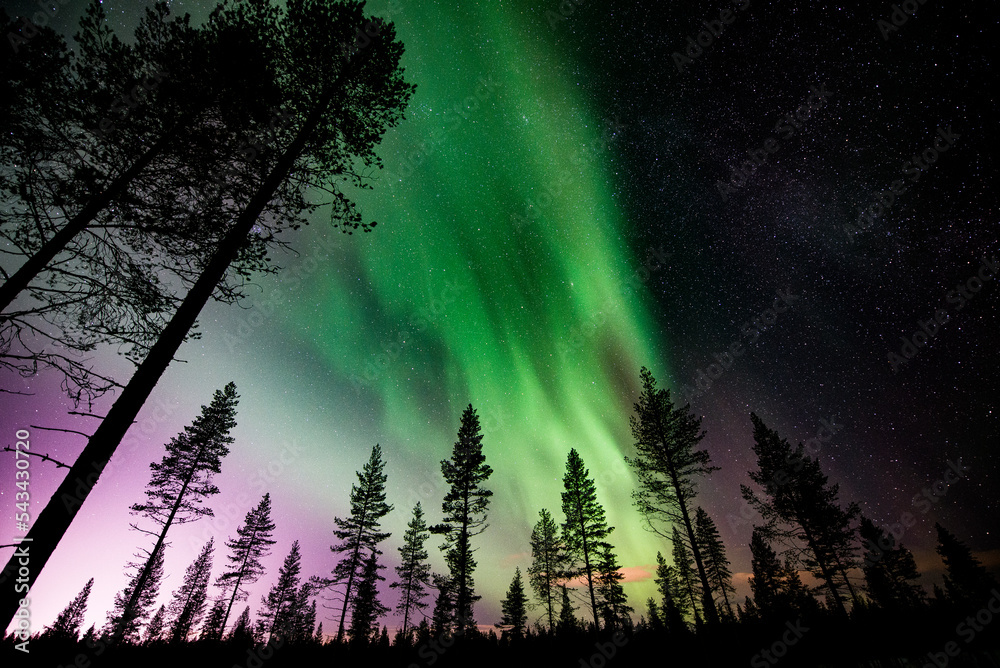 Ταπετσαρία Northern lights in Rovaniemi, Lapland Finland