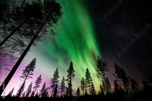 Bild auf Leinwand Northern lights in Rovaniemi, Lapland Finland