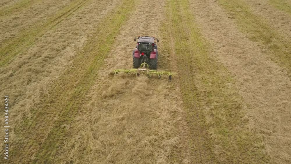 Revealed Farm Tractor Tedding Mowed Hay With Rakes On Field. Tilt Up Shot Revealed Farm Tractor Tedding Mowed Hay With Rakes On Field. Tilt Up Shot