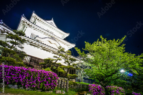 香川 夜の丸亀城を彩る鮮やかなツツジの花