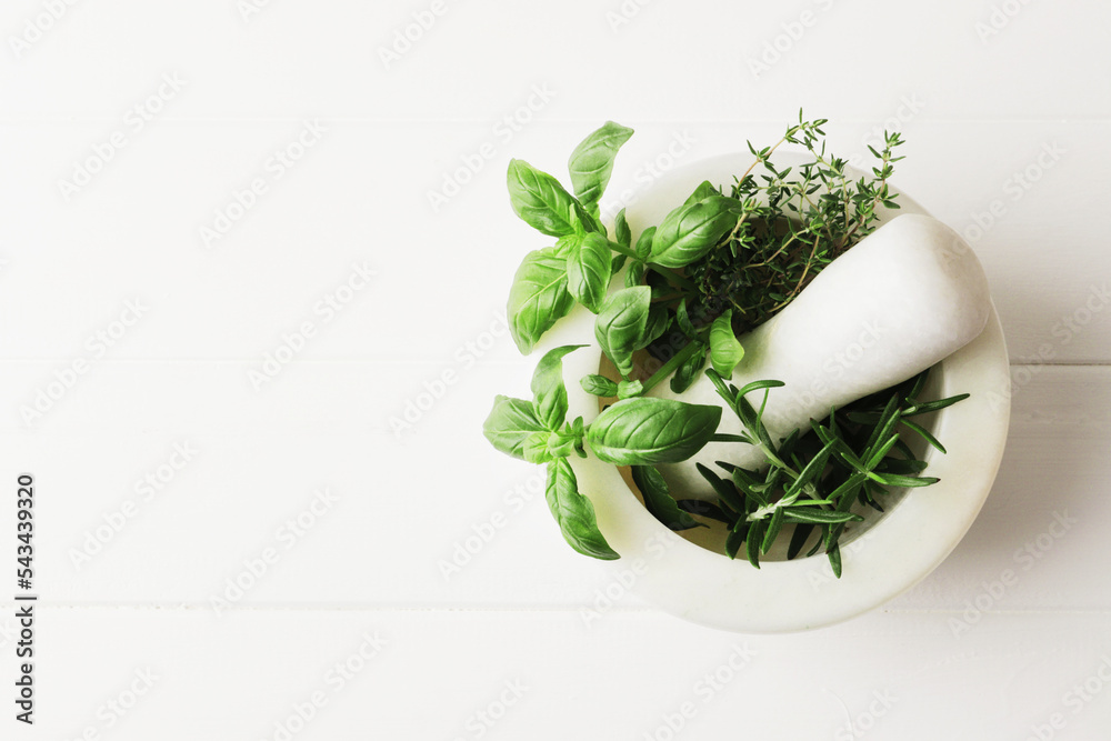 Flat lay composition of fresh herbs on a textured background with place for text