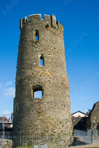 Tower of the Ferns Castle