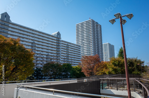 光が丘公園のマンション郡・タワマン photo