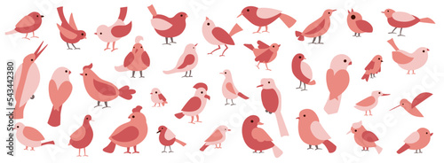 Set with simple flat pink birds.  Vector illustration