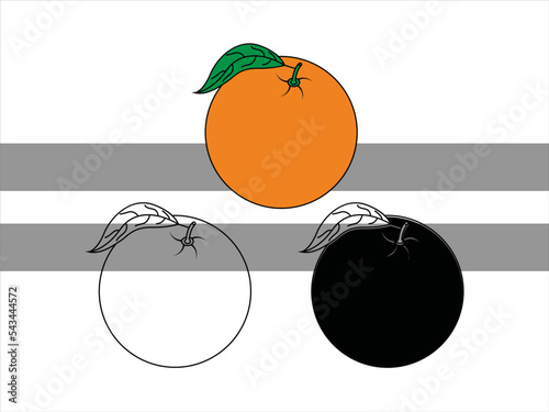 Orange SVG | Fruit Svg | Orange Slice Svg | Orange Bundle | Summer SVG | Orange Clipart