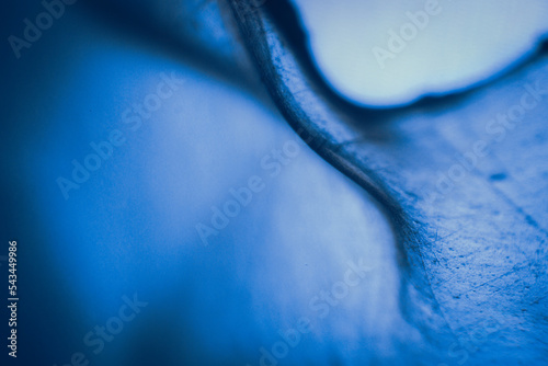 Microscopic Plastic Film