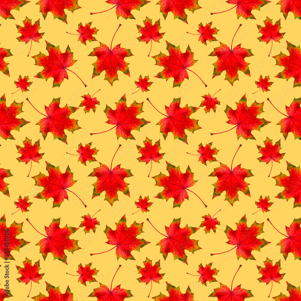 Pattern of autumn. Autumn red maple leaves. Pattern of autumn red maple leaves on a yellow background. Pattern of autumn. Autumn red maple leaves. Pattern of autumn red maple leaves on a yellow background.