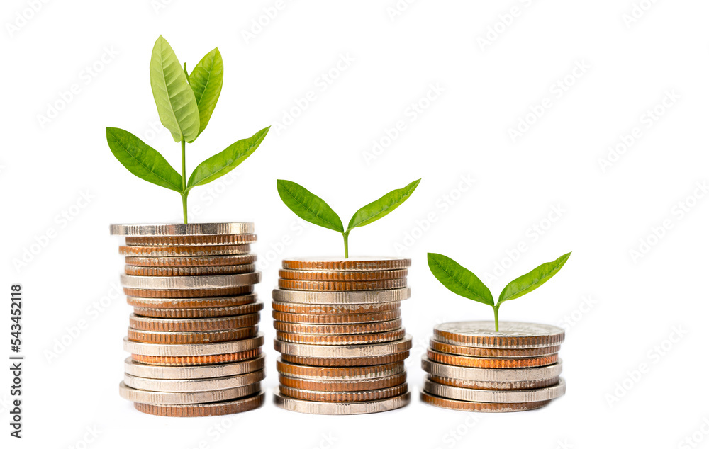 Tree leaf on save money coins, Business finance saving banking investment concept. Tree leaf on save money coins, Business finance saving banking investment concept.