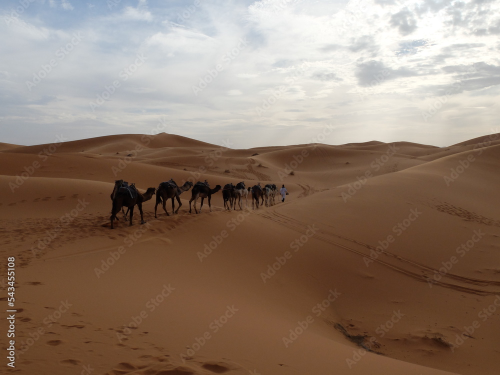 caravane dans le désert