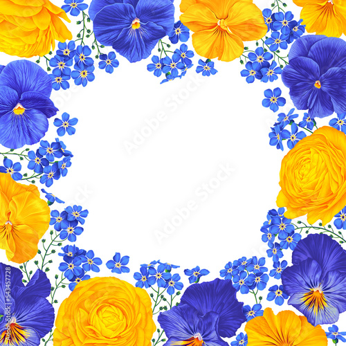 Square png frame with yellow and blue  flowers isolated on white background. Ranunculus, buttercups, Viola, Pansies and Forget-me-not detailed hand-drawn realistic flowers for your design