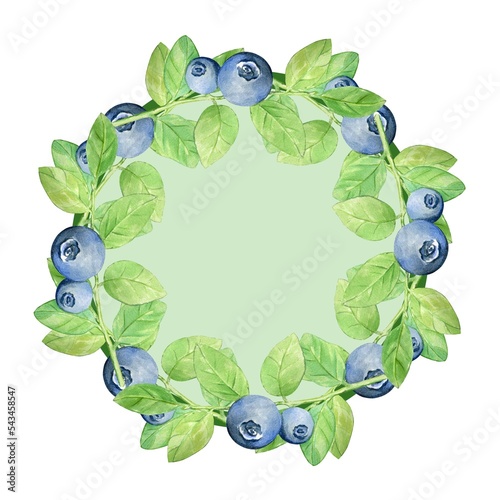 Green Round frame with blueberries with leaves. Hand - drawn . Copy space