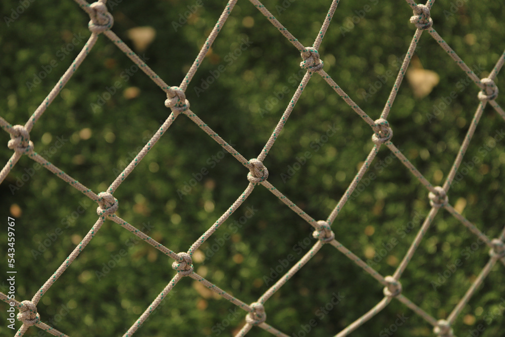 Fototapeta premium chain link fence with green grass