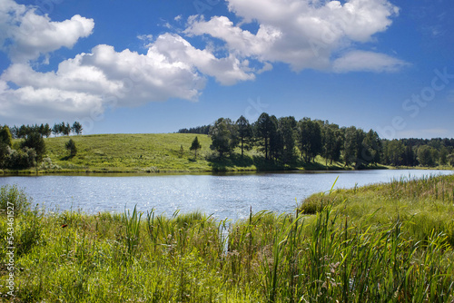 river landscape on a sunny summer day