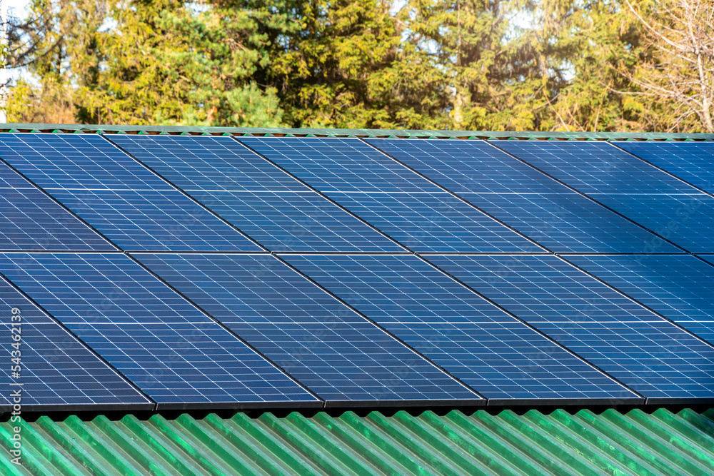 Solar panels mounted on a green roof. Clean energy