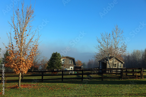 Autumn foggy day in november eastern township Bromont Quebec Canada