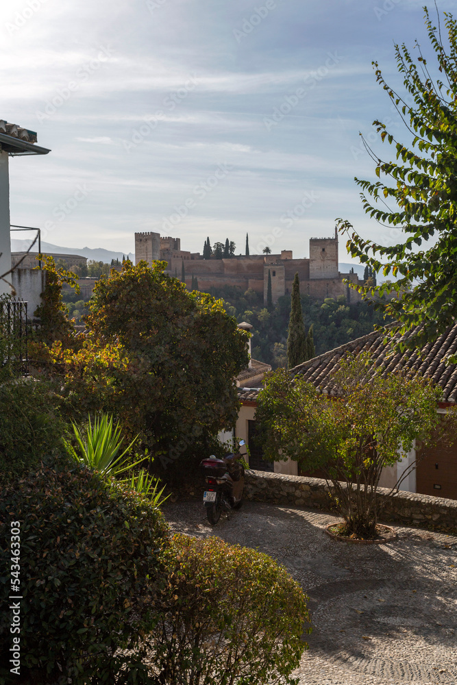 View of the Alhambra in Granada