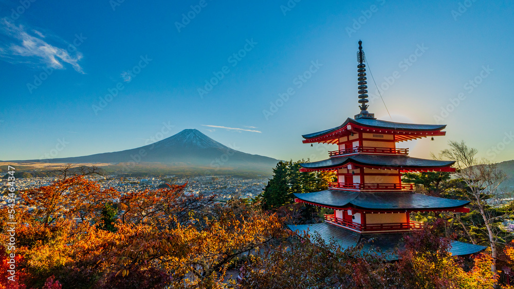 Mt.Fuji / autumn leaves / Japan trip