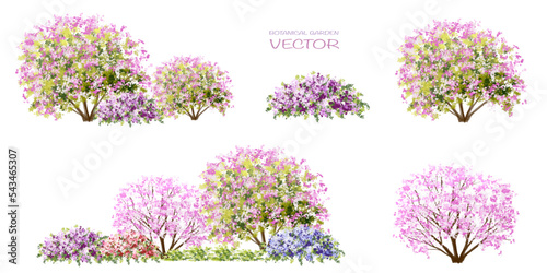 Vector watercolor blooming flower tree or forest side view isolated on white background for landscape and architecture drawing,elements for environment and garden,botanical for section in spring 