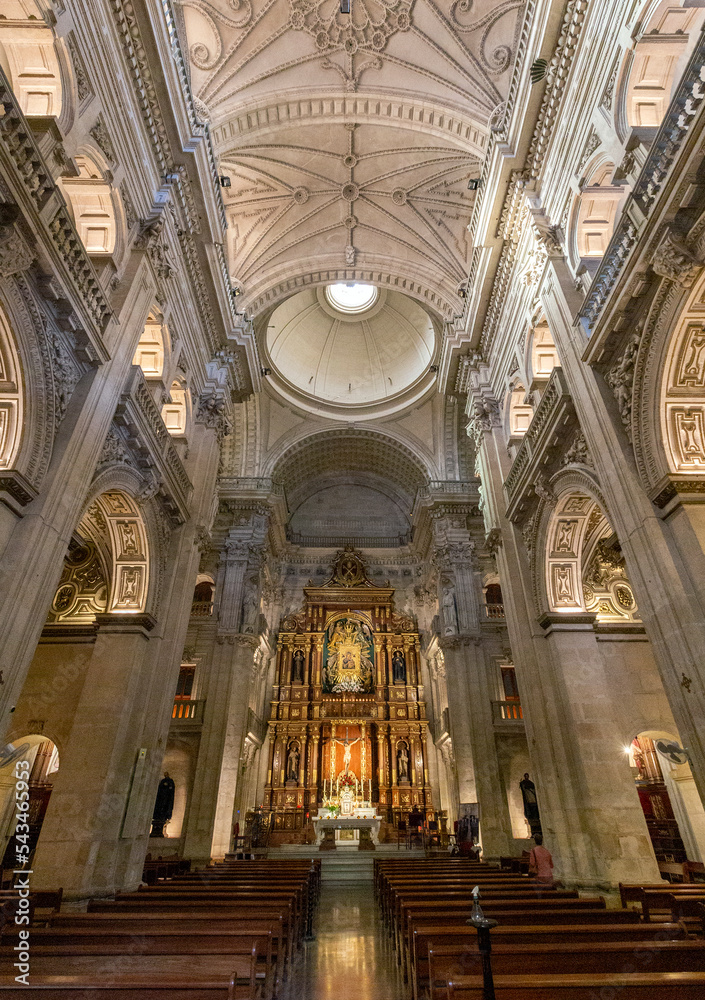 Santuario del Perpetuo Socorro church in Granada