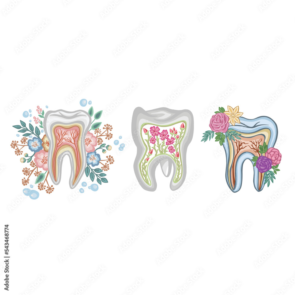 Set Healthy tooth, dental flora of the mouth, color vector illustration Set Healthy tooth, dental flora of the mouth, color vector illustration