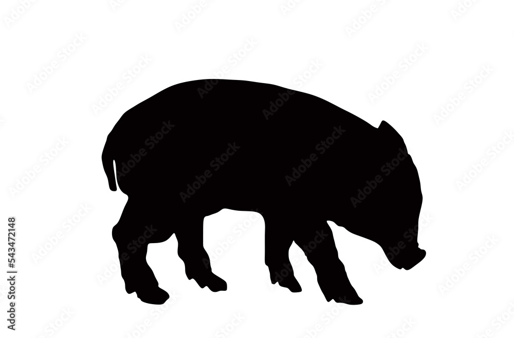 Baby pig vector silhouette illustration isolated