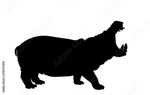 Hippopotamus shape. Open jaws hippo vector silhouette illustration isolated on white background. Big scary animal from Africa. Wild animal symbol.