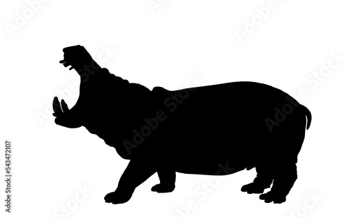 Hippopotamus shape. Open jaws hippo vector silhouette illustration isolated on white background. Big scary animal from Africa. Wild animal symbol.
