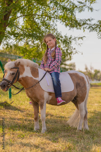 Pony. Landscape. Riding. Summer