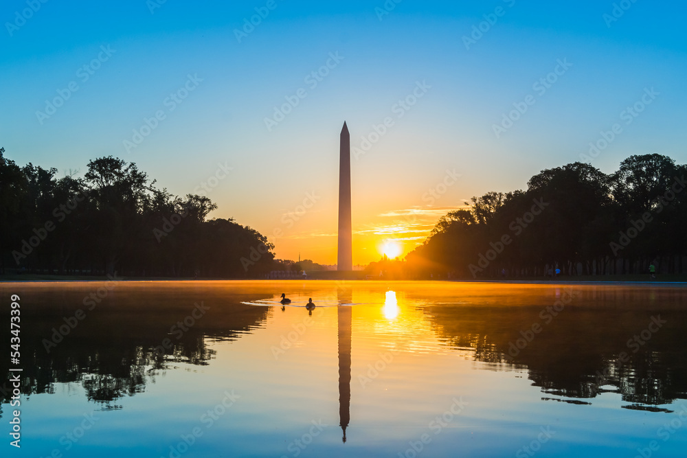 Colorful sunrise behind the Washington Monument with reflections in the reflecting pool with ducks swimming by the Lincoln Memorial in Washington D.C.