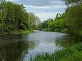 River surrounded by lush greenery on a summer day